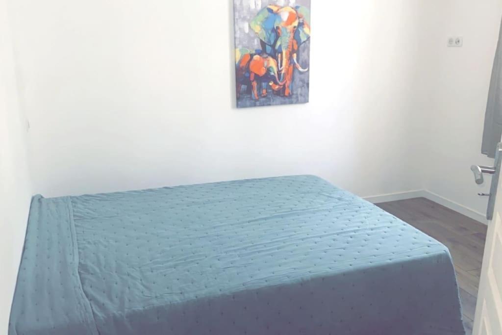 Appartement T2 Chez Thomas Et Nas Omessa Екстер'єр фото
