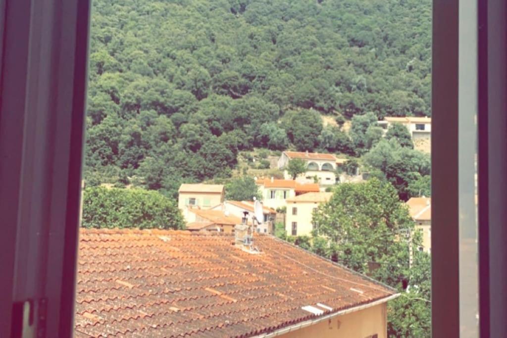 Appartement T2 Chez Thomas Et Nas Omessa Екстер'єр фото